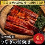 鰻 鰻の蒲焼き4尾セット うなぎ 美陵鰻 ウナギ