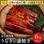 鰻 鰻の蒲焼き6尾セット うなぎ 美陵鰻 ウナギ