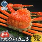 極上 特大本ズワイ蟹の姿 本ズワイ蟹 900g