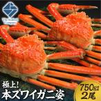 極上 本ズワイ蟹の姿 750g