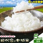 令和7年産 田代家の七城米 七城ヒノヒカリ