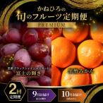 かねひろの旬のフルーツ定期便 果..