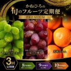 かねひろの旬のフルーツ定期便 プレミア..