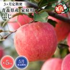 りんご ふじ 約5kg