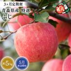 りんご ふじ 特選 約5kg