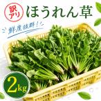 ほうれん草 200g×10袋
