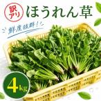 ほうれん草 200g×20袋