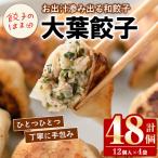 大葉餃子 12個入×4袋 計48個