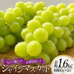 シャインマスカット 大粒 種なし 約800g