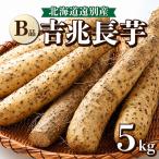 遠別産 吉兆長芋 B品5kg