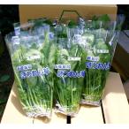 遠別産 有機ほうれん草 約150g×10束