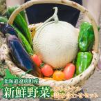 新鮮野菜オリジナル詰め合わせセット