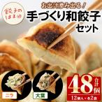 \テレビで紹介されました ニラ餃子 12個入×4袋 計48個