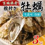 殻付き牡蠣 生食用 冷凍 3kg