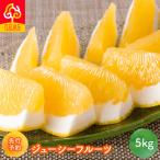ジューシーフルーツ5kg IKTF038