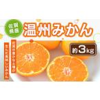 産温州みかん 約3kg