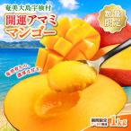 2026年7月~ 完熟 開運 マンゴー1kg