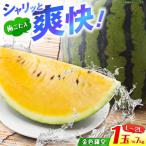 金色羅皇 1玉