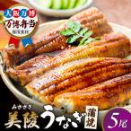 鰻 鰻の蒲焼 5尾