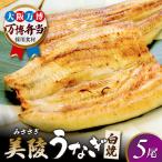 鰻 蒲焼 白焼 各5尾