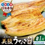 鰻 鰻の蒲焼1尾×白焼1尾 紅白セット BLAM033