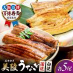 鰻 蒲焼 白焼 各5尾 セット