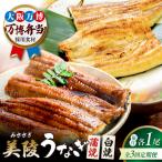 鰻 鰻の蒲焼1尾×白焼1尾 紅白セット BLAM032