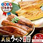 鰻 鰻の蒲焼 2尾