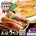 鰻 蒲焼 白焼 各5尾