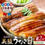 鰻 蒲焼 白焼 各2尾