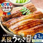 鰻 蒲焼 白焼 各3尾
