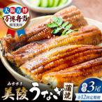鰻 蒲焼 白焼 各3尾