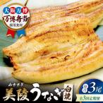 鰻 鰻の白焼 3尾
