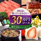 返礼品おまかせ 寄附額30万円コース 300000円