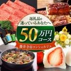 返礼品おまかせ 寄附額20万円コース 200000円
