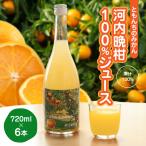 河内晩柑100%ジュース720ml×6