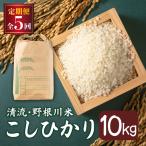令和8年産 野根川米10kg こしひかり