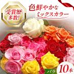 バラ 10本