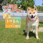 ドッグラン ペットホテルなどをお得に利用できる