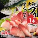 まるごと一本 大和ブリ 原魚約5kg N072-YC816
