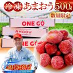 産あまおう 冷凍500g 特別栽培