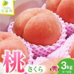 ふるさと納税 もも さくら 3kg 果物 山形 桃 山形県天童市