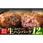 あか牛100%生ハンバーグ 12個