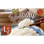 R8年度産 新米こしひかり白米4.5kg