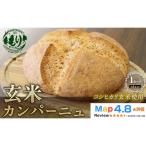 パン 玄米パン 12カット 1セット
