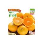 由良 みかん 5kg