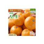 早生 みかん 5kg