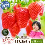 産べんけべつのいちご けんたろう 8パック