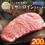 宮崎牛特選サーロインステーキ 200g