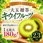 キウイフルーツ 最大 2.3kg